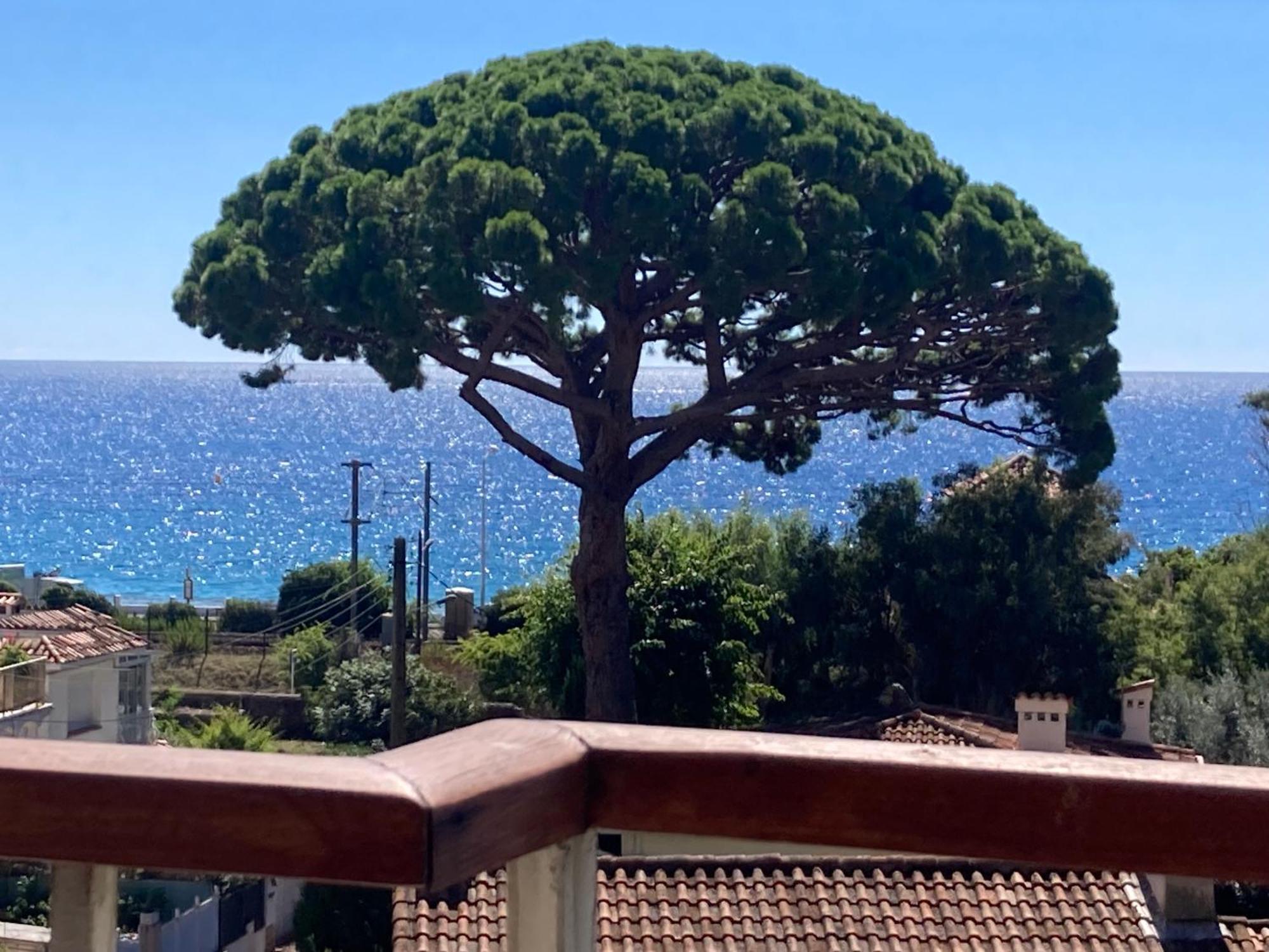 & Salle De Bain Privative ,bord De Mer, Vue ,, Private & Bathroom At Inhabitant's House, Seaside, Sea View